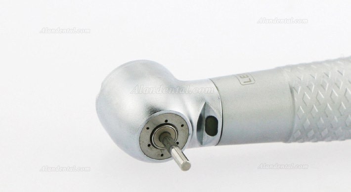 YUSENDENT® CX207-GW-TP Dental Torque Head Handpiece Compatible W&H (NO Quick Coupler)